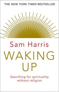 Download Waking Up: Searching for Spirituality Without Religion pdf, epub, ebook