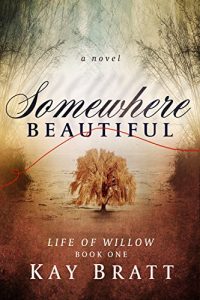 Download Somewhere Beautiful (Life of Willow Book 1) pdf, epub, ebook