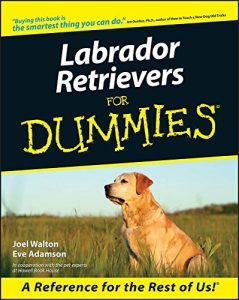 Download Labrador Retrievers For Dummies pdf, epub, ebook