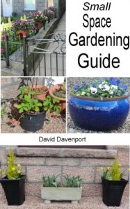 Download Small Space Gardening Guide pdf, epub, ebook