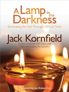 Download A Lamp in the Darkness: Illuminating the Path Through Difficult Times pdf, epub, ebook