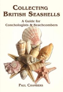 Download British Seashells: A Guide for Choncologists & Beachcombers pdf, epub, ebook