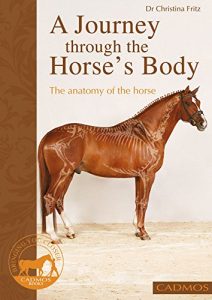 Download A journey through the horse’s body: The anatomy of the horse (Horses) pdf, epub, ebook