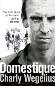 Download Domestique: The Real-life Ups and Downs of a Tour Pro pdf, epub, ebook