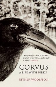 Download Corvus: A Life With Birds pdf, epub, ebook