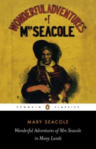 Download Wonderful Adventures of Mrs Seacole in Many Lands pdf, epub, ebook