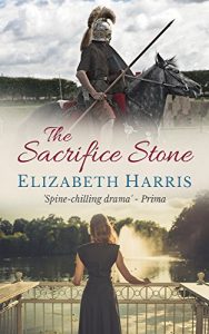 Download The Sacrifice Stone pdf, epub, ebook