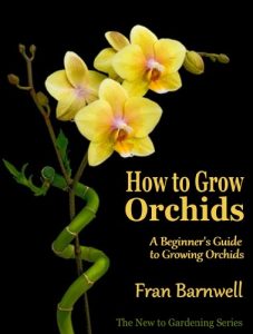 Download How to Grow Orchids: A Guide to Growing Orchids for Beginners (The New to Gardening Series Book 2) pdf, epub, ebook