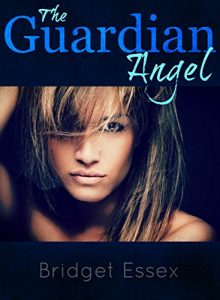 Download The Guardian Angel pdf, epub, ebook