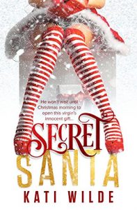 Download Secret Santa pdf, epub, ebook