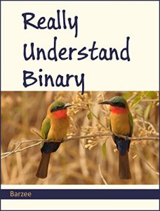 Download Really Understand Binary pdf, epub, ebook