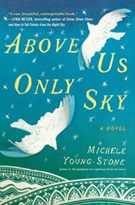 Download Above Us Only Sky: A Novel pdf, epub, ebook