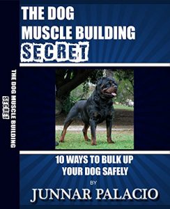 Download THE DOG MUSCLE BUILDING SECRETS pdf, epub, ebook