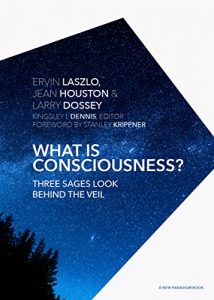 Download What is Consciousness?: Three Sages Look Behind the Veil (A New Paradigm Book) pdf, epub, ebook