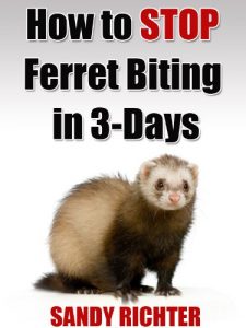 Download Ferret Biting (How to Stop Ferret Biting in 3-Days Book 1) pdf, epub, ebook