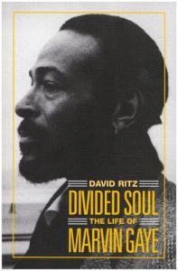Download Divided Soul: The Life Of Marvin Gaye pdf, epub, ebook