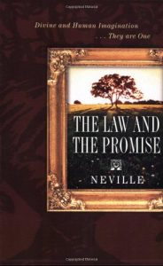 Download The Law & the Promise pdf, epub, ebook