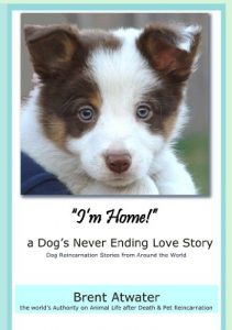 Download “I’m Home!” a Dog’s Never Ending Love Story: Animal Life After Death, Pet Reincarnation, Animals Spirits, Pets Past Lives, Animal communication, Dog Lovers stories, pets soul contracts pdf, epub, ebook