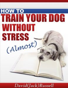 Download HOW TO TRAIN YOUR DOG WITHOUT STRESS (ALMOST) pdf, epub, ebook