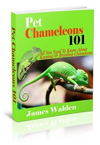 Download Pet Chameleons 101: All You Need To Know About Keeping & Breeding Chameleons pdf, epub, ebook