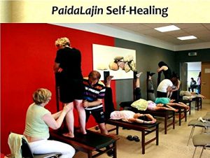 Download PaidaLajin Self-Healing pdf, epub, ebook