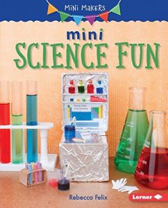 Download Mini Science Fun (Mini Makers) pdf, epub, ebook