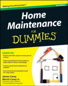 Download Home Maintenance For Dummies pdf, epub, ebook