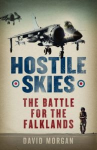 Download Hostile Skies pdf, epub, ebook