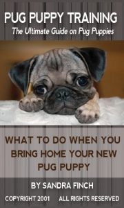 Download Pug Puppy Training: The Ultimate Guide on Pug Puppies, What to Do When You Bring Home Your New Pug Puppy pdf, epub, ebook