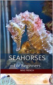 Download Seahorses For Beginners pdf, epub, ebook