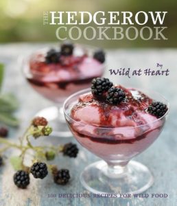 Download The Hedgerow Cookbook: 100 delicious recipes for wild food pdf, epub, ebook