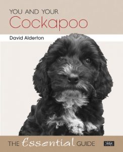 Download You and Your Cockapoo – The Essential Guide pdf, epub, ebook