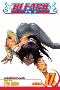 Download Bleach, Vol. 17: Rosa Rubicundior, Lilio Candidior pdf, epub, ebook