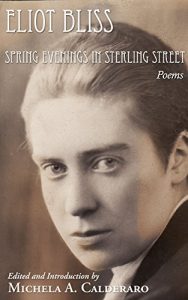 Download Spring Evenings in Sterling Street: Poems by Eliot Bliss pdf, epub, ebook