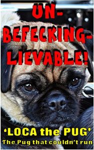 Download Unbefeckinglievable pdf, epub, ebook