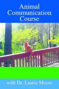 Download Animal Communication Course: Heart-to-Heart Telepathy with Animals pdf, epub, ebook