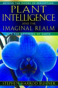 Download Plant Intelligence and the Imaginal Realm: Beyond the Doors of Perception into the Dreaming of Earth pdf, epub, ebook