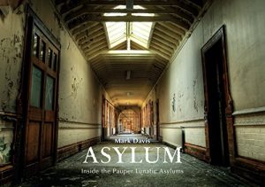 Download Asylum: Inside the Pauper Lunatic Asylums pdf, epub, ebook