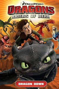 Download Dragons: Riders of Berk Vol. 1: Dragon Down pdf, epub, ebook