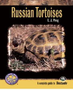 Download Russian Tortoises (Complete Herp Care) pdf, epub, ebook