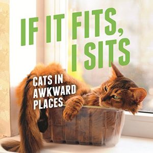 Download If It Fits, I Sits: Cats in Awkward Places pdf, epub, ebook