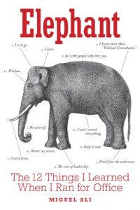 Download ELEPHANT: The 12 Things I Learned When I Ran For Office pdf, epub, ebook