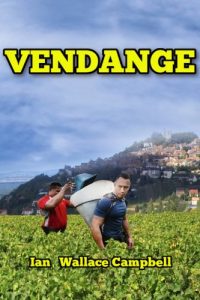 Download Vendange: Vintage Tales of My Grape Escape to the Medoc. pdf, epub, ebook