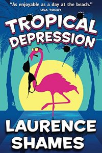 Download Tropical Depression (Key West Capers Book 4) pdf, epub, ebook