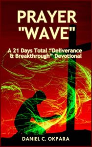 Download Prayer Wave: A 21 Days Total Deliverance & Breakthrough Devotional: 500 Powerful Prayers & Declarations to Arrest Stubborn Demonic Problems, Dislodge Spiritual Wickedness & Activate Your Blessings pdf, epub, ebook