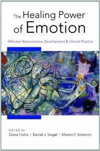 Download The Healing Power of Emotion: Affective Neuroscience, Development & Clinical Practice (Norton Series on Interpersonal Neurobiology) pdf, epub, ebook