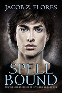 Download Spell Bound (The Warlock Brothers of Havenbridge Book 1) pdf, epub, ebook