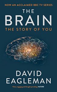 Download The Brain: The Story of You pdf, epub, ebook