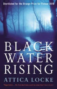 Download Black Water Rising (Jay Porter) pdf, epub, ebook