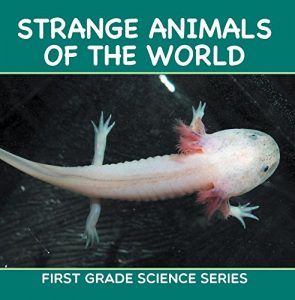 Download Strange Animals Of The World : First Grade Science Series: First Grade Books (Animal Encyclopedia For Kids) pdf, epub, ebook